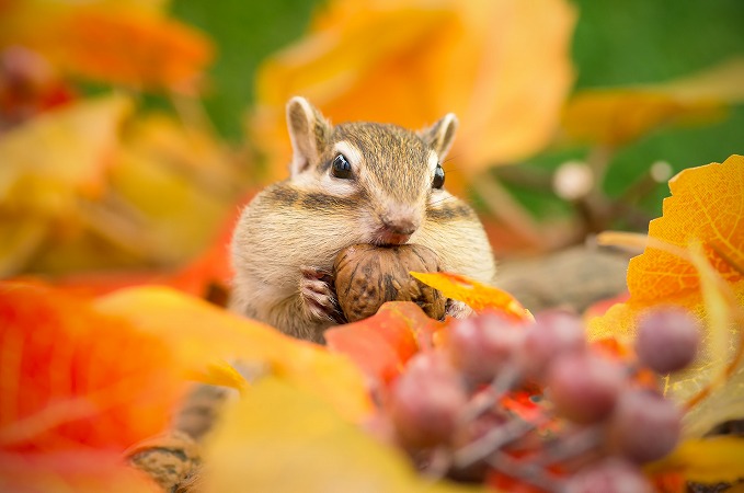 AdobeStock_57691282 (3)